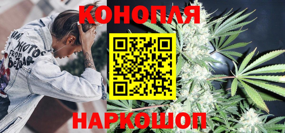 Каннабис сатива Армавир